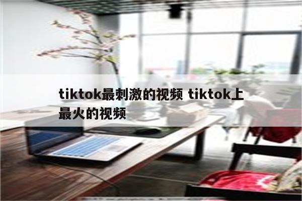 tiktok最刺激的视频 tiktok上最火的视频