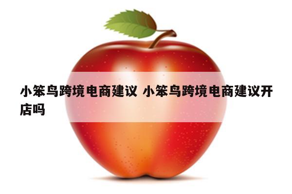 小笨鸟跨境电商建议 小笨鸟跨境电商建议开店吗