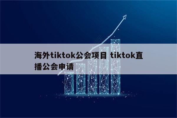 海外tiktok公会项目 tiktok直播公会申请