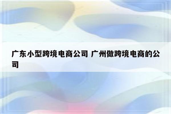 广东小型跨境电商公司 广州做跨境电商的公司