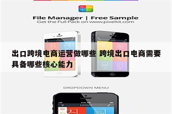 出口跨境电商运营做哪些 跨境出口电商需要具备哪些核心能力