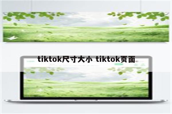 tiktok尺寸大小 tiktok页面
