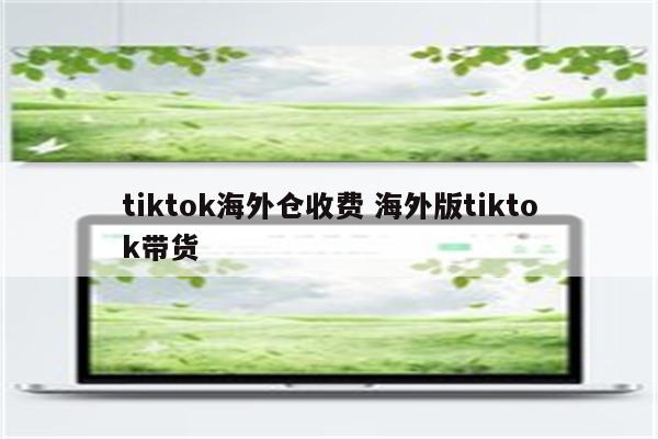 tiktok海外仓收费 海外版tiktok带货