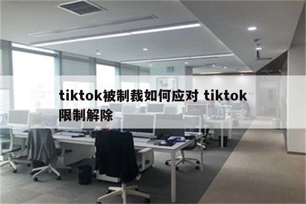 tiktok被制裁如何应对 tiktok限制解除