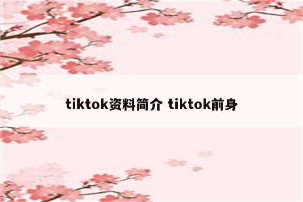 tiktok资料简介 tiktok前身