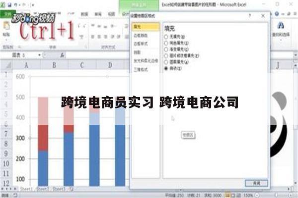 跨境电商员实习 跨境电商公司