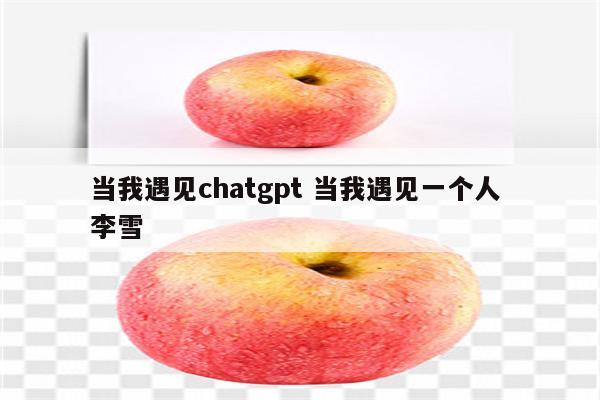 当我遇见chatgpt 当我遇见一个人 李雪
