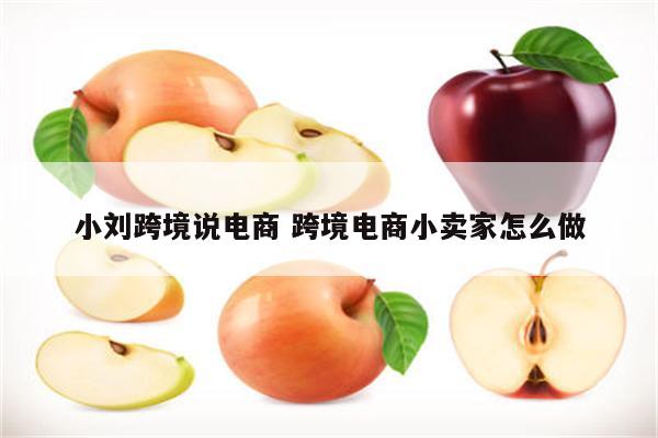 小刘跨境说电商 跨境电商小卖家怎么做