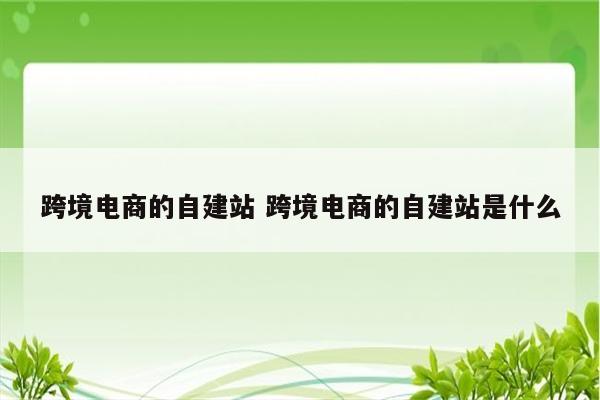 跨境电商的自建站 跨境电商的自建站是什么