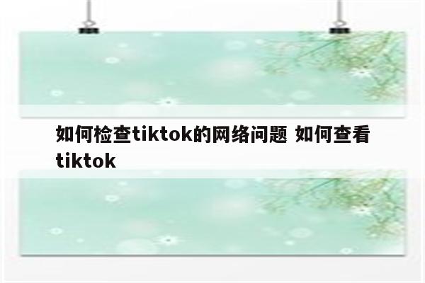 如何检查tiktok的网络问题 如何查看tiktok