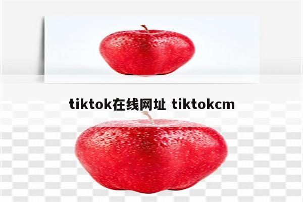 tiktok在线网址 tiktokcm