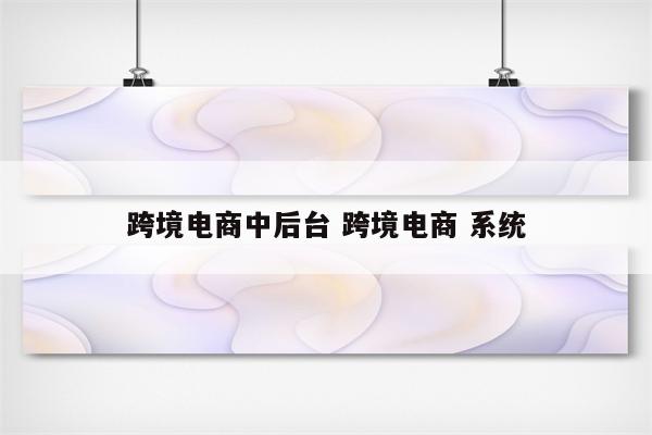 跨境电商中后台 跨境电商 系统