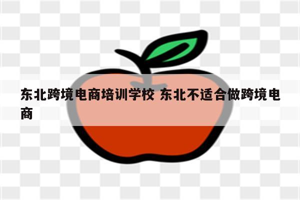 东北跨境电商培训学校 东北不适合做跨境电商