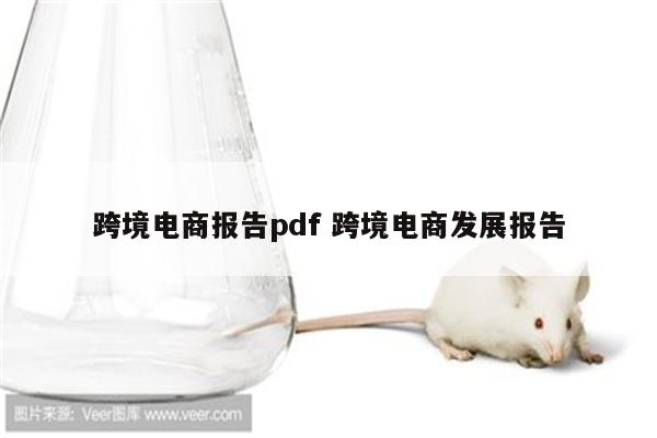 跨境电商报告pdf 跨境电商发展报告