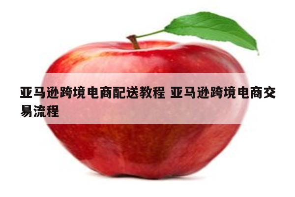 亚马逊跨境电商配送教程 亚马逊跨境电商交易流程