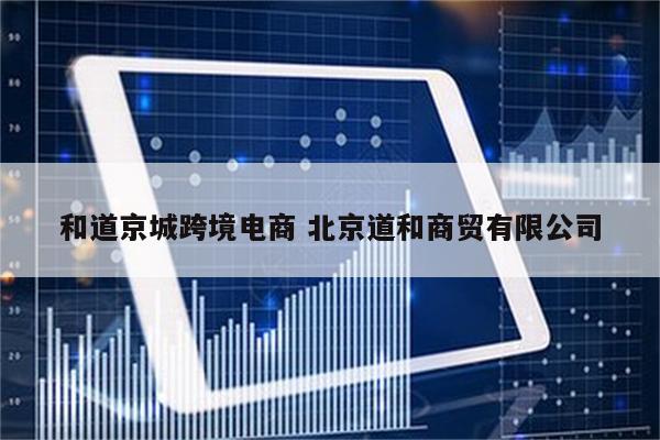 和道京城跨境电商 北京道和商贸有限公司