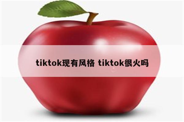 tiktok现有风格 tiktok很火吗