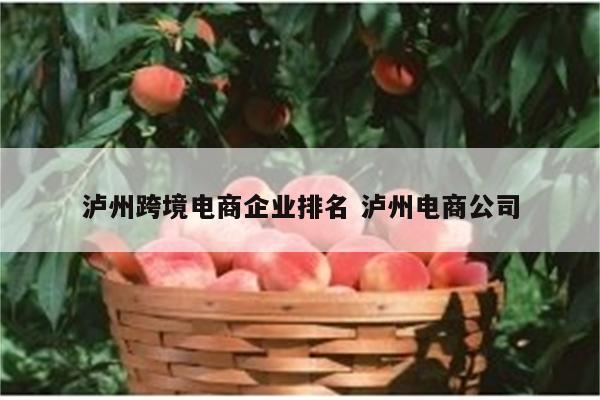 泸州跨境电商企业排名 泸州电商公司