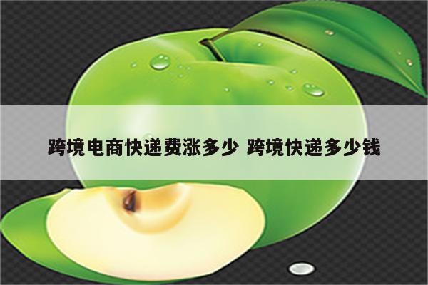 跨境电商快递费涨多少 跨境快递多少钱
