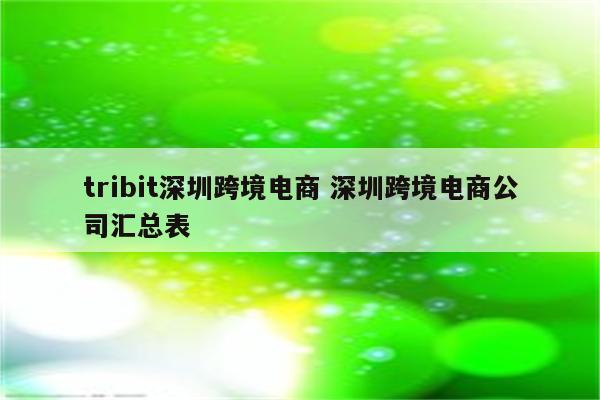 tribit深圳跨境电商 深圳跨境电商公司汇总表