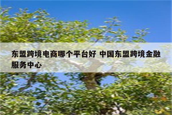 东盟跨境电商哪个平台好 中国东盟跨境金融服务中心
