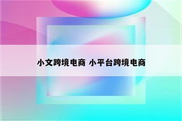 小文跨境电商 小平台跨境电商