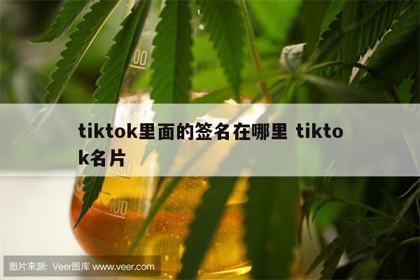 tiktok里面的签名在哪里 tiktok名片