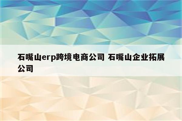 石嘴山erp跨境电商公司 石嘴山企业拓展公司