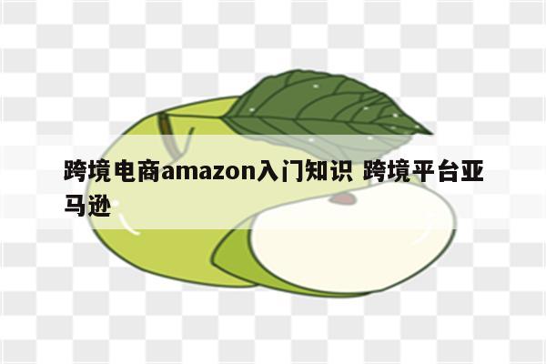 跨境电商amazon入门知识 跨境平台亚马逊
