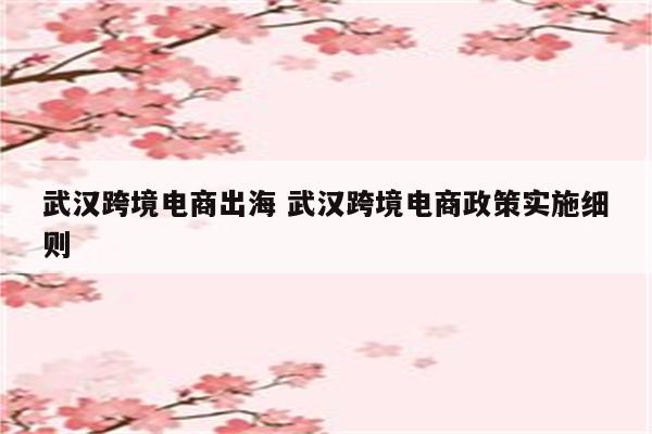 武汉跨境电商出海 武汉跨境电商政策实施细则