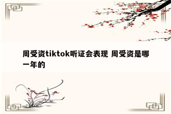 周受资tiktok听证会表现 周受资是哪一年的