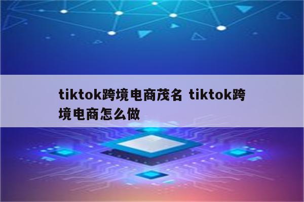 tiktok跨境电商茂名 tiktok跨境电商怎么做