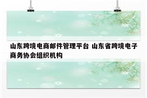山东跨境电商邮件管理平台 山东省跨境电子商务协会组织机构