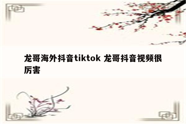 龙哥海外抖音tiktok 龙哥抖音视频很厉害