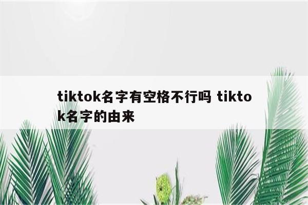 tiktok名字有空格不行吗 tiktok名字的由来