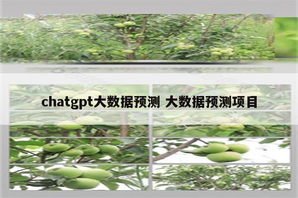 chatgpt大数据预测 大数据预测项目