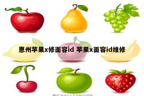 惠州苹果x修面容id 苹果x面容id维修