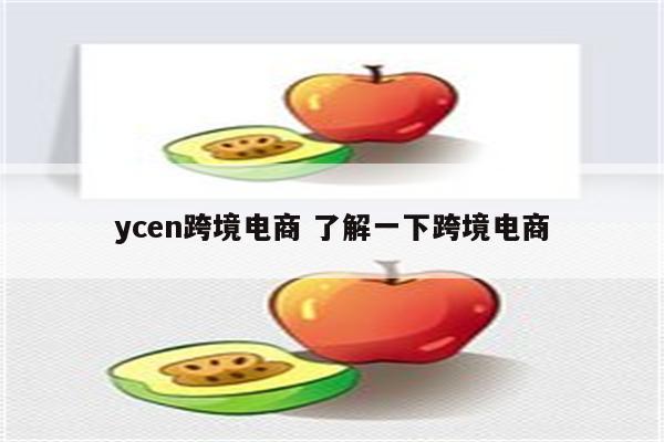 ycen跨境电商 了解一下跨境电商