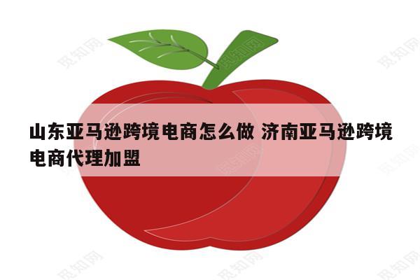 山东亚马逊跨境电商怎么做 济南亚马逊跨境电商代理加盟