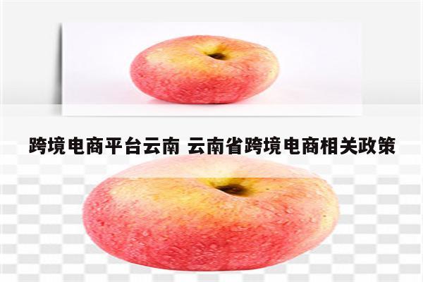 跨境电商平台云南 云南省跨境电商相关政策