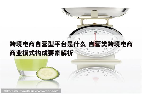 跨境电商自营型平台是什么 自营类跨境电商商业模式构成要素解析