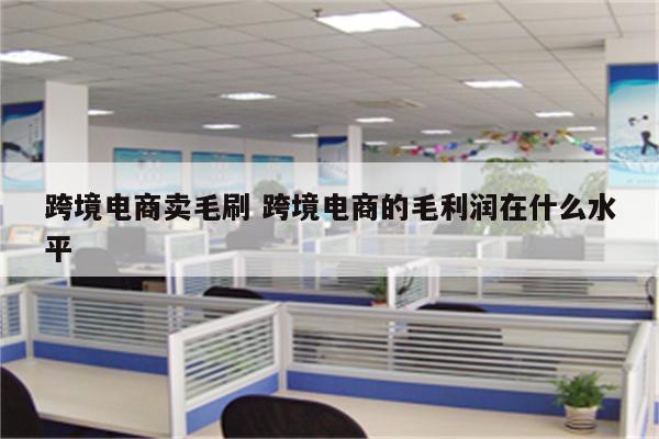 跨境电商卖毛刷 跨境电商的毛利润在什么水平