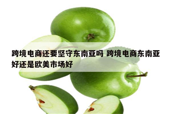 跨境电商还要坚守东南亚吗 跨境电商东南亚好还是欧美市场好