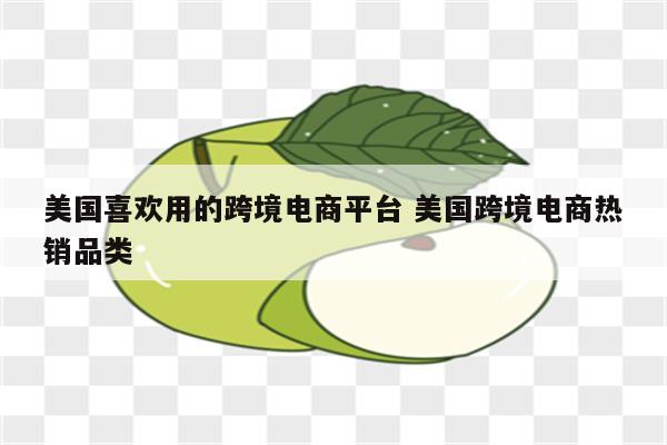 美国喜欢用的跨境电商平台 美国跨境电商热销品类