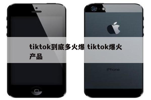 tiktok到底多火爆 tiktok爆火产品