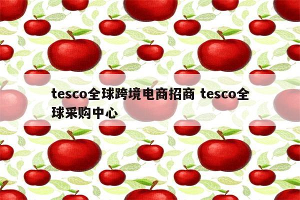 tesco全球跨境电商招商 tesco全球采购中心