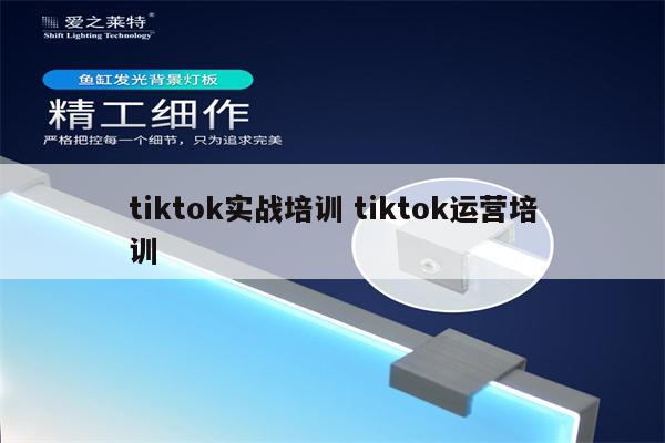 tiktok实战培训 tiktok运营培训