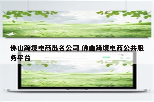 佛山跨境电商出名公司 佛山跨境电商公共服务平台