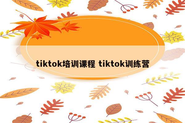 tiktok培训课程 tiktok训练营