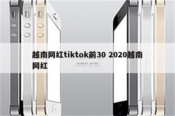 越南网红tiktok前30 2020越南网红